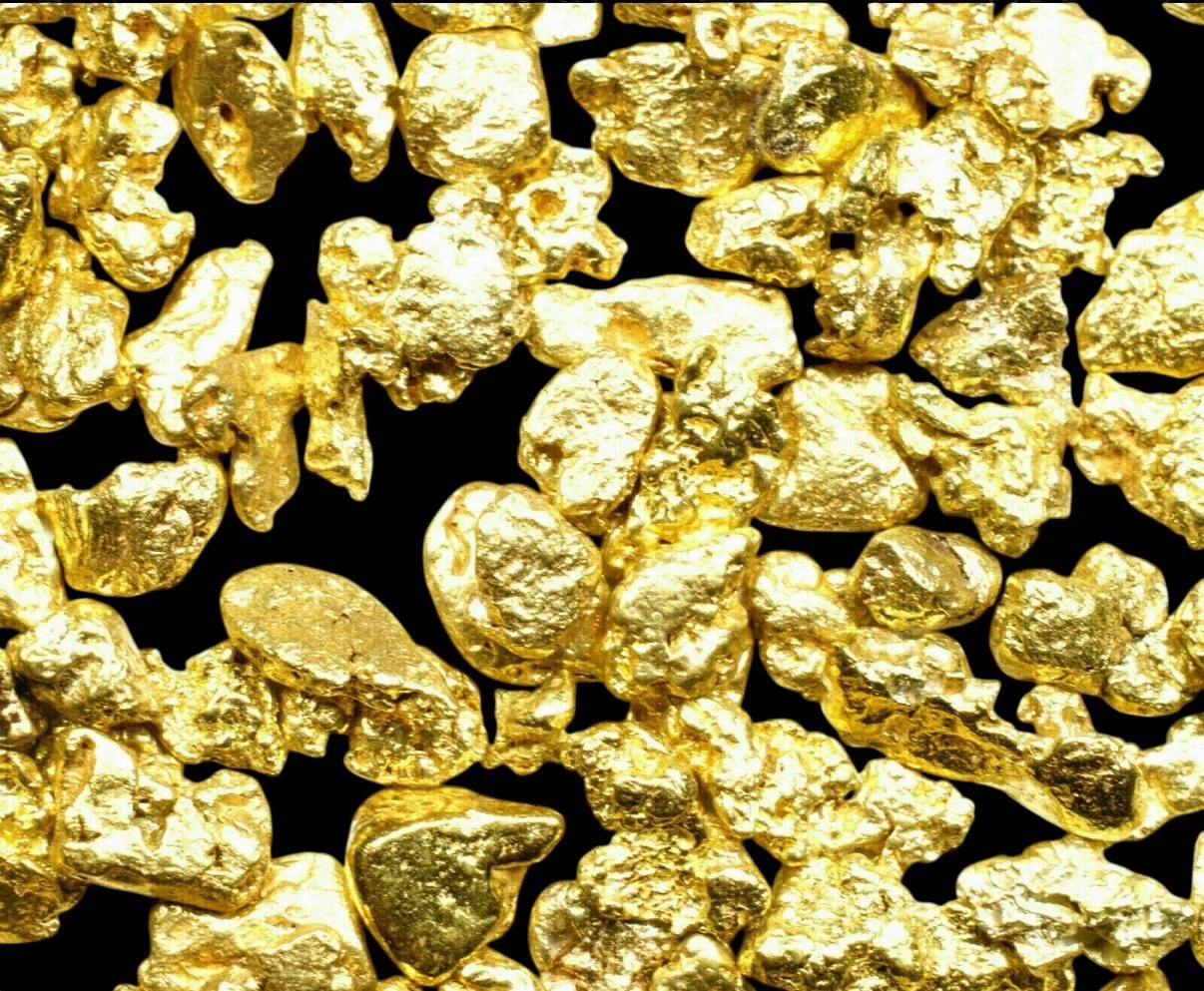 0.500 GRAMS ALASKAN YUKON BC NATURAL PURE GOLD NUGGETS #8 MESH