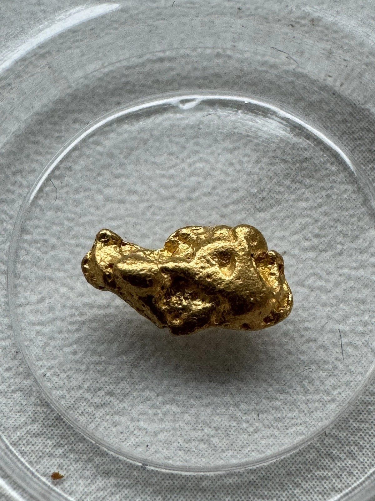 Gold Nugget 999 Natural Gold from Australia with "Perth Mint Certificate" 0.59 Grams