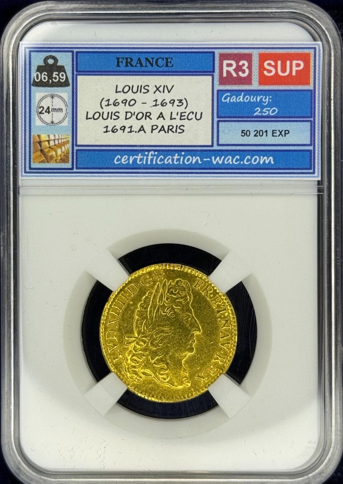 LOUIS XIV (1690 - 1693) LOUIS D'OR A L'ECU 1691.A PARIS